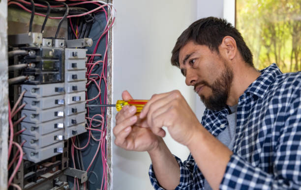Best Electric Panel Repair  in Lake Cherokee, TX